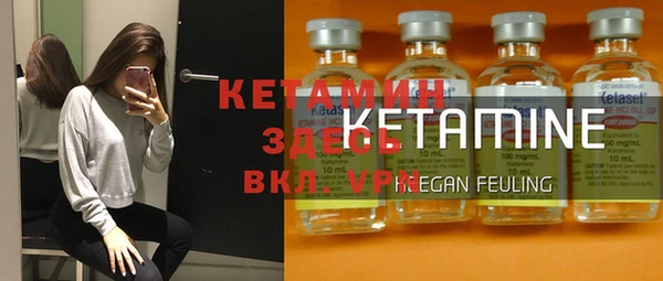 крисы Верея