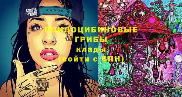 ешки Верхний Тагил