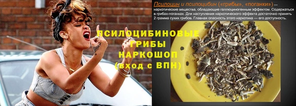ешки Верхний Тагил