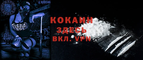 крисы Верея