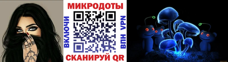 где продают наркотики  Армавир  Псилоцибиновые грибы Psilocybine cubensis 