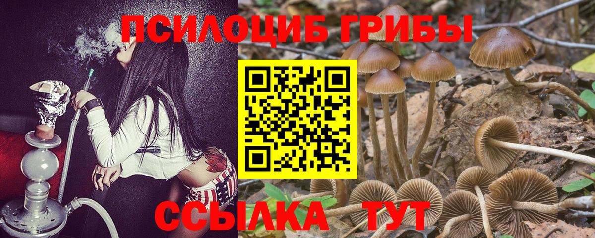 Армавир  Галлюциногенные грибы Psilocybine cubensis  Вход с VPN  Галлюциногенные грибы прущие грибы 